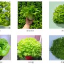 미광목장 이미지