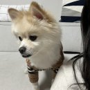 반작 작업실 이미지