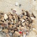 대구천내초등학교 이미지