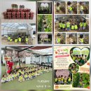 태장LH천년나무5단지A 경로당 | 원주 어린이집 추천 🏫 태장동 시간제보육 가능한 은하수어린이집 🌸 5월 이야기🌸