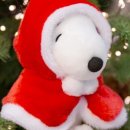 제이트리 이미지