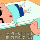 테라스마크 이미지