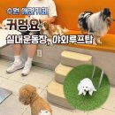 메트로자연유치원 | [수원 애견카페] 인계동 커멍요, 미끄럼방지 실내운동장과 야외 루프탑 솔직후기(+미용,호텔,유치원)