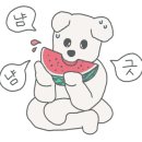 우리펫살롱 이미지