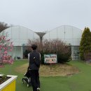 (주)더나은우리 | [D+16개월] 감기 나은 아기와 밖에서 하루종일 놀기 - 동천자연식물원