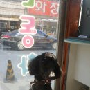 수원-0981 네이버블로그