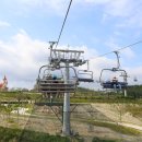 스카이라인 루지 앞 이미지