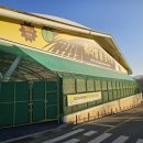 워라밸돔경기장 이미지