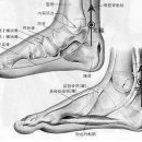 11.삼부혈공부＜마르고 신경질적인 우리신랑 보약혈-태계혈＞ 이미지