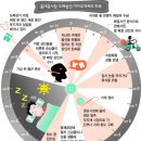 [종합]시사 자연 토픽 포토 8월 15일(수) 이미지