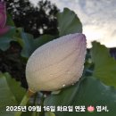 노을이슬 이미지