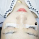 유스텔라