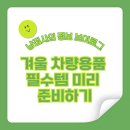 그린카센타 | 겨울 차량용품 필수 템 6가지 추천 | 성에 제거부터 스노 브러시까지!