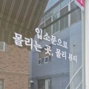 몰리뷰티 이미지