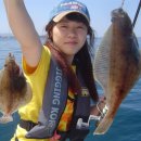 뚝지펜션 이미지