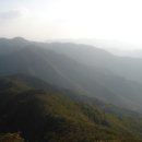 두타민박 이미지