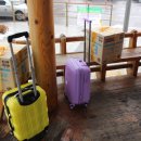 청평아이리스 이미지