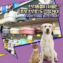 펫마트원주점