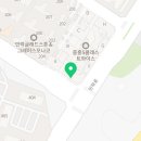 지니퍼피의정부강아지분양애견샵