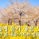 8시간 봄 내음 가득한 힐링음악 🌼 아침음악, 스트레스해소음악, 명상음악, 요가 이미지