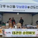 청년농부송고랑