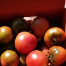 서건유통 이미지