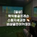 일진스크린골프 | [일상] 학익동골프레슨 스윙자세교정 👏🏻 비상골프아카데미