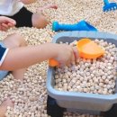 리틀현대아이어린이집 이미지