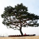 타임캡슐공원 이미지