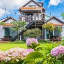 남이섬 하늘사랑 이미지