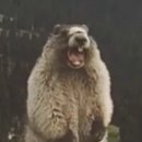 더트리니티스파 이미지