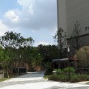 삼성아파트_동 이미지