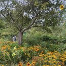 정원여인숙 이미지