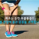 금상첨화 이미지