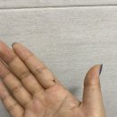 까뮤노래연습장 이미지