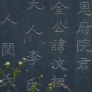 문곡서예 | 충순공(忠純公) 사교재(四敎齋) 김문근(金汶根) (1801-1863)