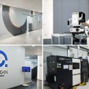 엔젤메디 이미지