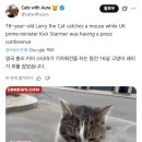 (속보) 영국 총리가 기자회견을 하는 동안 16살 고양이 래리가 쥐를 잡았습니다 이미지
