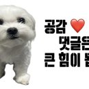 홈플러스익스프레스 풍동점