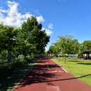 탄금공원 이미지