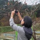 행현2리 마을회관 이미지