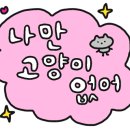 청춘 고양이 카페 이미지