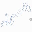 구룡당