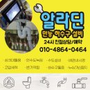 흥덕1로 62번길2R | 용인하수구냄새 원인부터 해결까지ㅣ악취 완벽 제거 후기