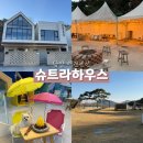 금성애견 이미지