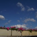 전주 하늘 이미지