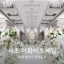 서초그린교통 | 서초 더화이트베일 홀 투어 후기 및 26년 성수기 견적 공유