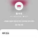 폴바셋연세와