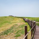 서산 한우목장=국가가 지켜온 초원이 열렸다=단! 2.1km만 허락된 특별한 길 이미지