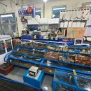 바다를 품은 보성회센타 이미지